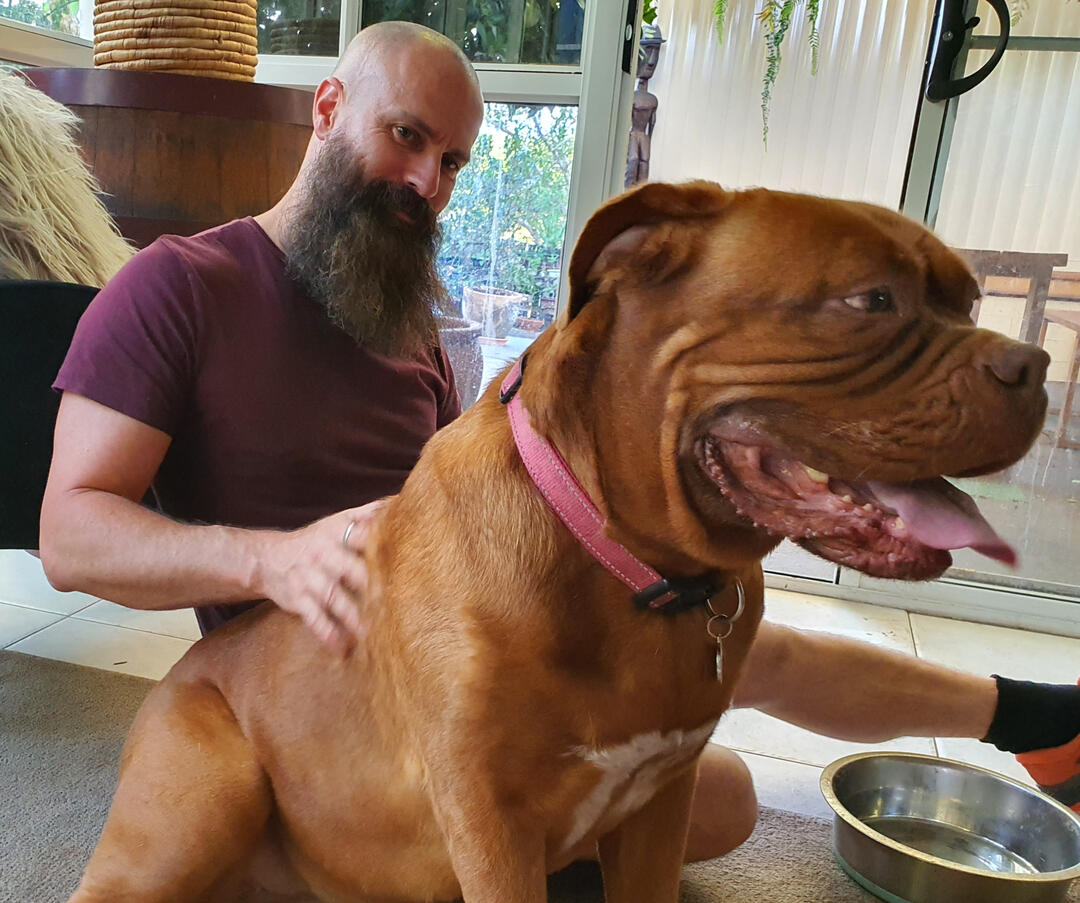 Price list for Private Dog Walks